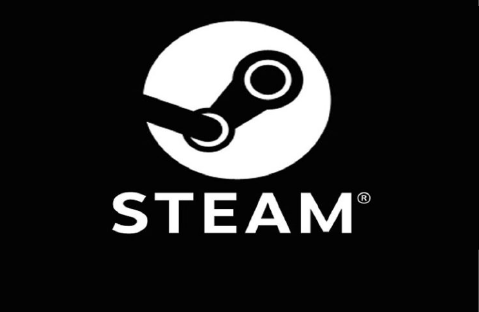 Steam Wallet US 10$